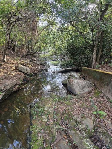 a stream of water with rocks and trees at Pousada Canto Feliz in Serra do Cipo