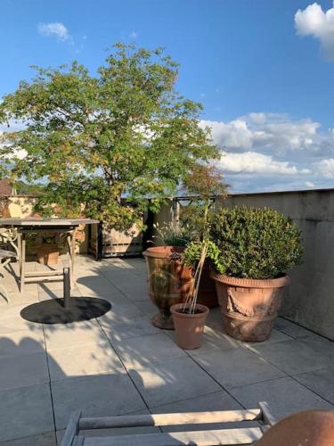 une terrasse avec des plantes en pot, une table et un arbre dans l'établissement Comme une villa sur un toit, à Saint-Prix