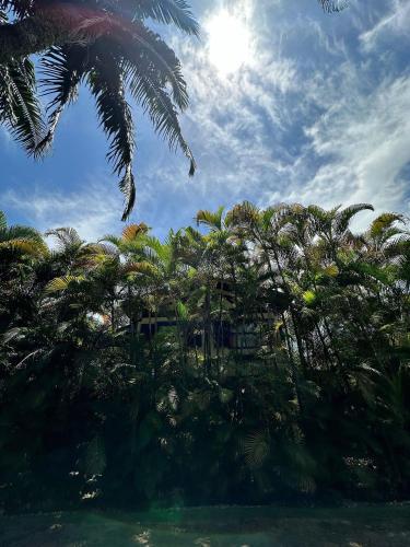 Taman di luar TrevizZo Maresias Qualidade!