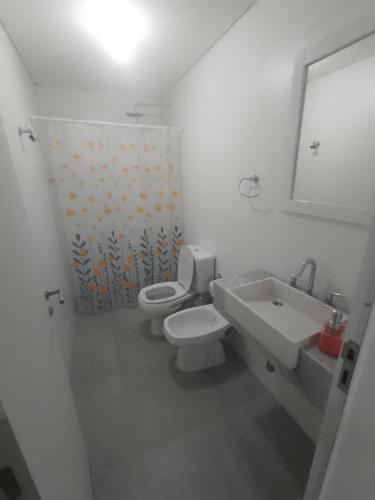 a bathroom with a toilet and a sink and a mirror at Dpto Jacarandá in Sunchales
