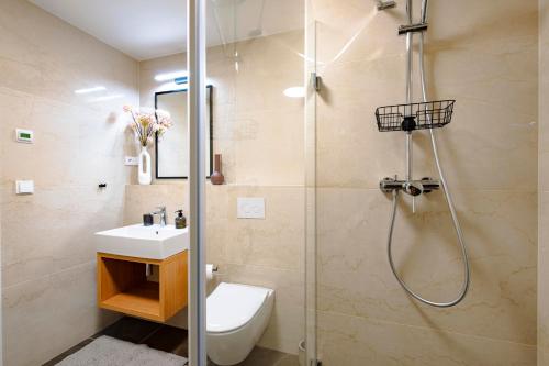 a bathroom with a shower and a toilet and a sink at MOLO LIPNO RESIDENCE in Lipno nad Vltavou