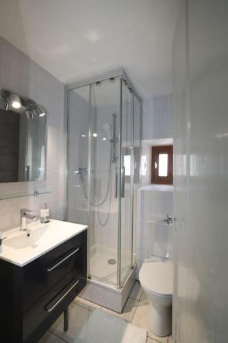 une salle de bain avec une douche, des toilettes et un lavabo dans l'établissement ''Grand Verger'' - Parking gratuit, à Chambéry