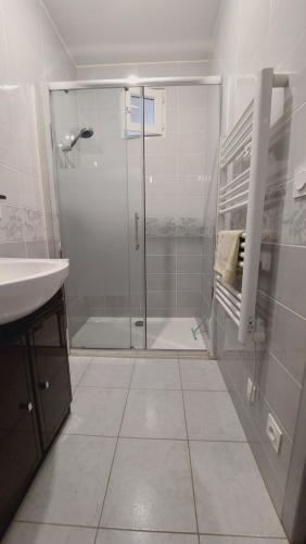 un bagno con doccia e lavandino di Chez Marie appartement centre historique Perpignan a Perpignano