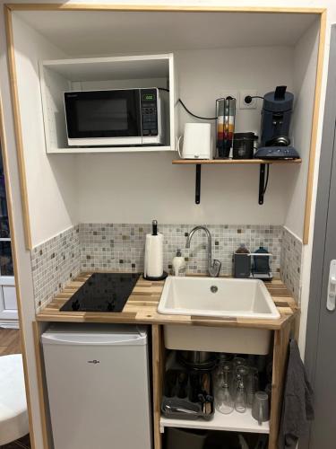une petite cuisine avec un évier et un micro-ondes dans l'établissement Le Calice - Hypercentre de Reims, à Reims