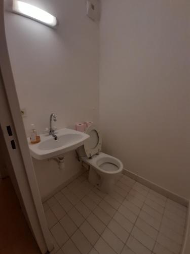 a white bathroom with a toilet and a sink at Logement T2 tres propre in Cergy