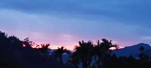 a sunset with palm trees in front of a mountain at Nandana's Residency Munnar - A 4BHK Homestay for Indian Families in Munnar