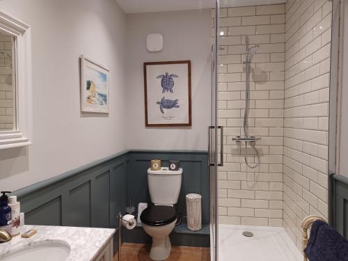 a bathroom with a shower and a toilet and a sink at Admiral's Cottage in Bridport