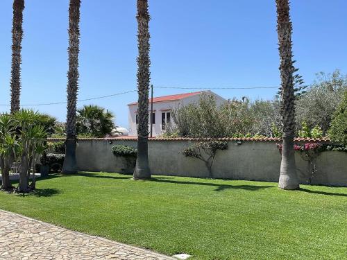 un patio con palmeras y una pared en VILLA VIDA, en Saline Joniche