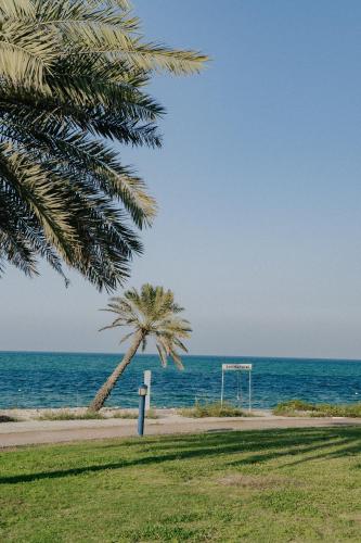 a palm tree and a soccer goal on the beach at Mirfa Hotel in Al Marfaʼ