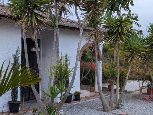 a group of palm trees in front of a house at Quinta Paolita in Tumbabiro