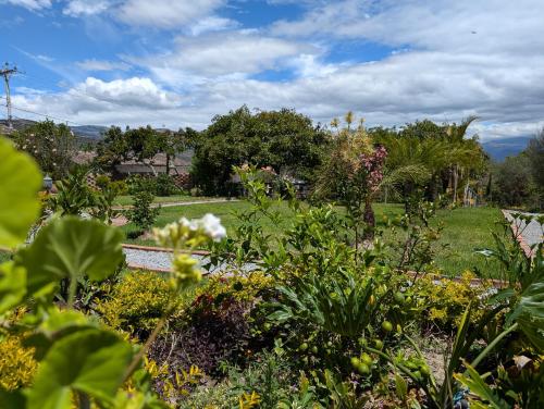 a garden with many different plants and flowers at Quinta Paolita in Tumbabiro