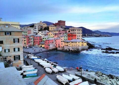 a group of boats in a harbor next to the water at Appartamento dietro il lungomare fra le due baie, fino a 8 posti letto in Sestri Levante