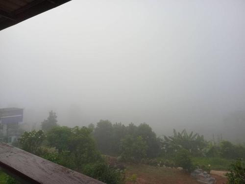 a view of a foggy field with trees in the background at สิรีรินทร์ ภูหมอก in Khao Kho
