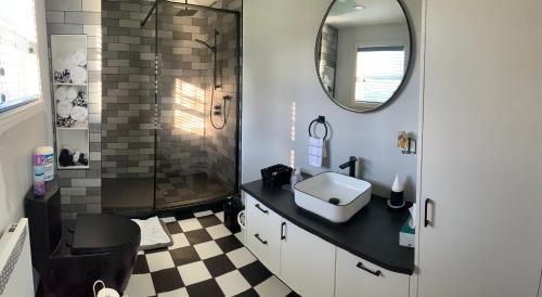 a bathroom with a shower and a sink and a mirror at Gîte Nycole in Perce