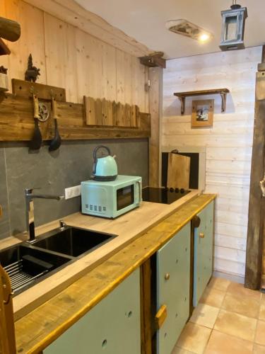 une cuisine avec un évier et un micro-ondes sur un comptoir dans l'établissement Appartement Coeur De Chalet, à Manigod