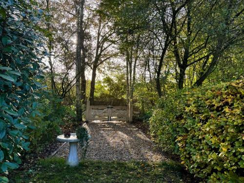 a garden with a gate and a bench in the middle at Erve Soebringe in Ansen
