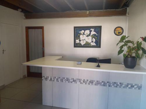 a kitchen with a counter with a potted plant at Crow's Nest Self-Catering Accommodation in Saldanha