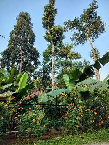 a garden with flowers and trees in the background at Thomaskuttys Farmhouse Homestay in Rānī