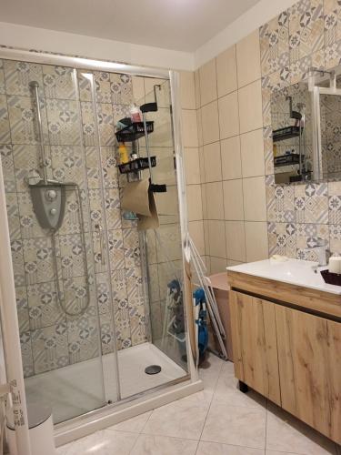 une douche avec une porte vitrée dans une salle de bain dans l'établissement Appartement au cœur du Haut-Jura, à Villard-Saint-Sauveur