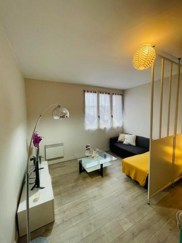 un salon avec un lit et un canapé dans l'établissement Le Geneslay - Parking Privée, au Mans