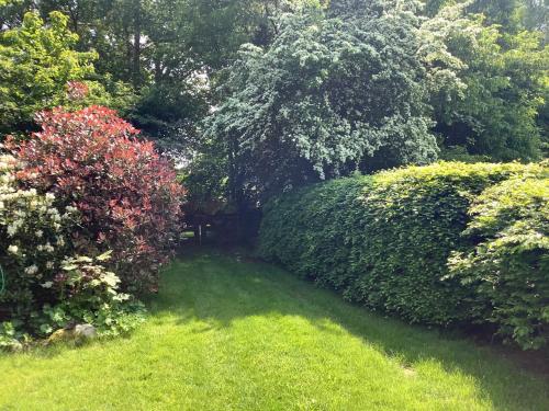a garden with green grass and bushes and trees at Erve Soebringe in Ansen