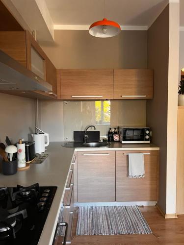 Nice&cozy flat No7 في ريغا: مطبخ بخزائن خشبية وموقد