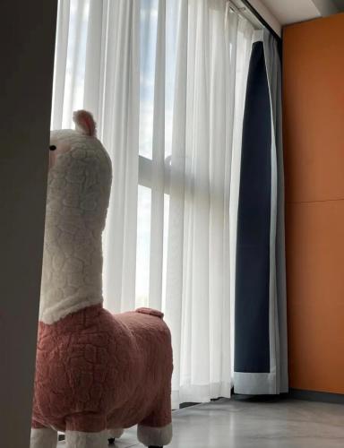 a teddy bear sitting in a chair in front of a window at Yunbo Youth Hostel Ürümqi in Ürümqi