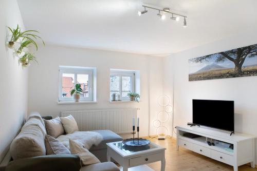 a living room with a couch and a flat screen tv at Alsfelder Wein-Suite in Alsfeld