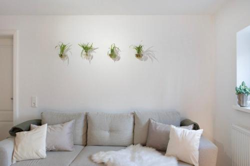 a white couch with four plants on a wall at Alsfelder Wein-Suite in Alsfeld
