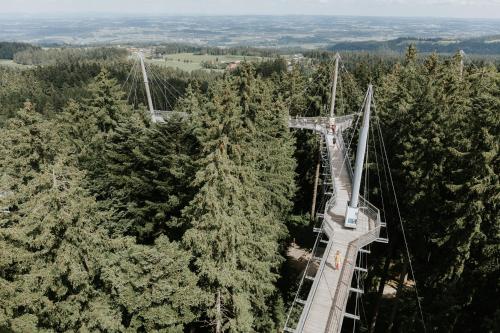 a gondola ride through a forest of trees at HEIMATEL - Bodensee Residenz Allgäu in Scheidegg
