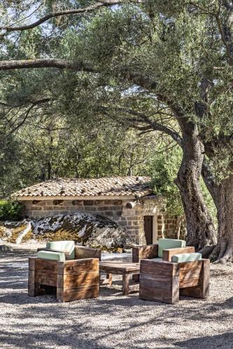 a group of couches and tables under a tree at Gallicantu Stazzo Retreat in Luogosanto