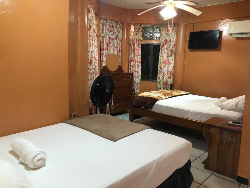 a bedroom with two beds and a desk and a tv at Chaleanor Hotel in Dangriga