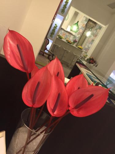 a vase filled with red flowers in a room at Sorrento Flats in Sorrento