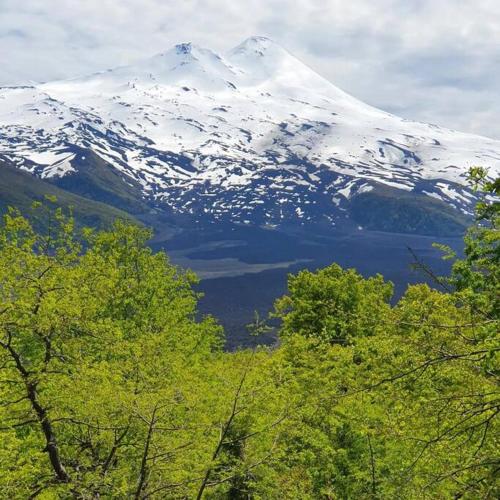 a snow covered mountain with trees in front of it at Conguillio Lava Cave in Melipeuco