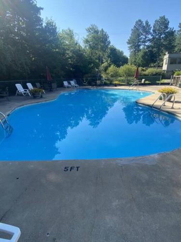 a large blue swimming pool with chairs and trees at The Swirling Bird in Basye