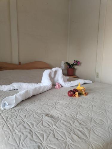Gallery image of Cabinas las Manzanas Bed y Breakfast in El Copey