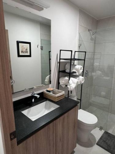 a bathroom with a sink and a toilet and a shower at Loft Sant Marteen - Americana in Guadalajara