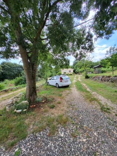 Aed väljaspool majutusasutust Apartment ADA