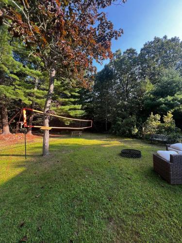 a tree with a net in a park at Waterfront Lakehouse Getaway in Clinton with HOT TUB in Clinton