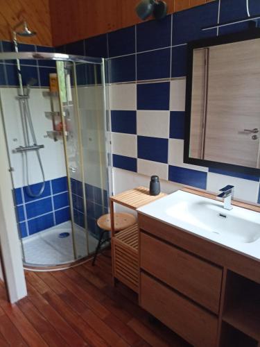 Thorigné-sur-DuéにあるChambre d'hôte 4 couchagesの洗面台とシャワー付きのバスルーム