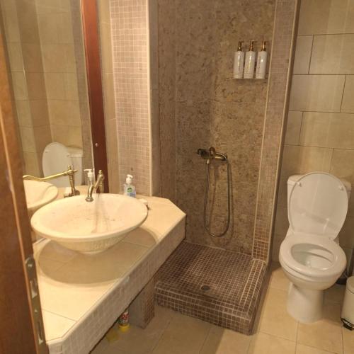 a bathroom with a sink and a shower with a toilet at Το Πέτρινο της Γιαγιάς in Florina