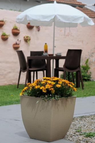 Patio nebo venkovní prostory v ubytování Hostal El Vendaval