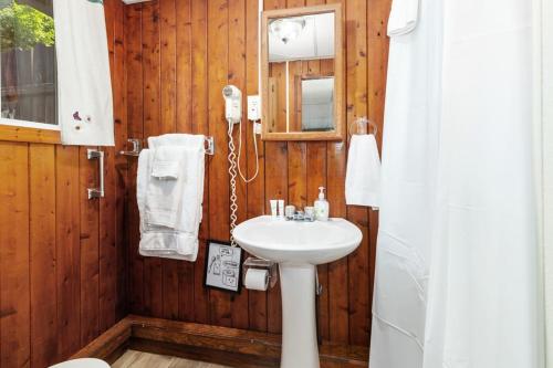 a bathroom with a white sink and a shower at Chippewa Bluffs Resort Combined 3BR 3BA Cabins in Barryton