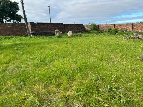 a field of tall green grass with a brick wall at Gogarstone Cottage in EDI
