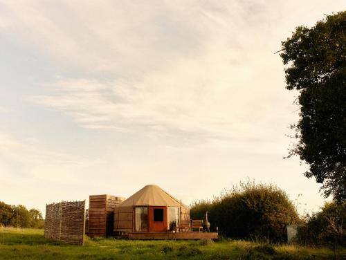 a yurt in the middle of a field at Nature Cabins Hiigher Farm in Ditcheat