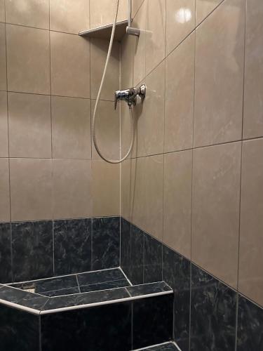 a shower in a bathroom with a black tile wall at Hotel Haga in Częstochowa