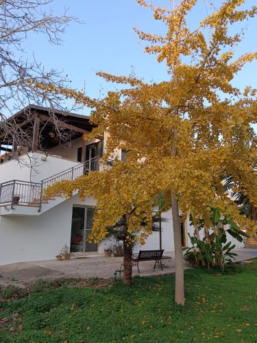 a tree with yellow leaves in front of a building at LA CASA DEL NOCE in Ruffano