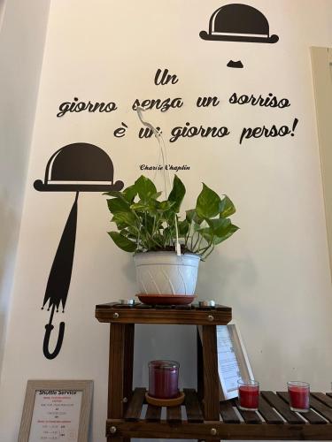 a plant in a pot on a table with a wall at Escuelita Viva in Ostia Antica