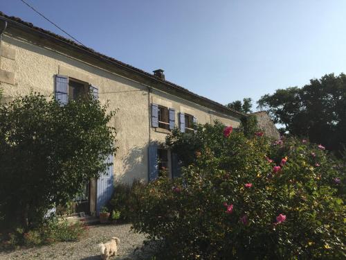 un chat debout devant une maison fleurie dans l'établissement L'Oree du Bois, à Cherbonnières