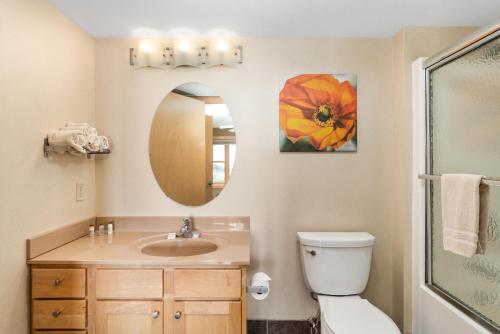 a bathroom with a sink and a toilet and a mirror at East Bay Suites in Grand Marais